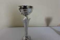 IMG-20210215-WA0005