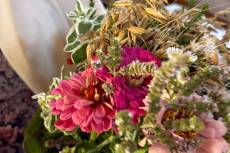 IMG-20260815-WA0042