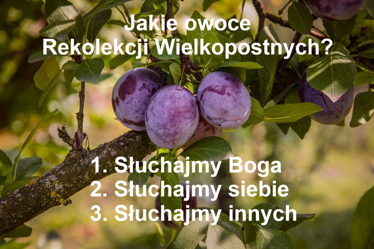 Po Rekolekcjach czas na owoce